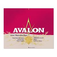 AVALON アヴァロン 水彩紙 コットン100％ 300g/m2 中目 ブロック F3 (273×220mm) 12枚とじ AVB-F3