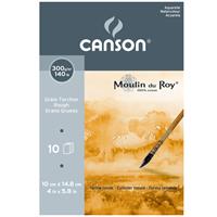 CANSON ムーラン・ドゥ・ロア 荒目 300g/m2 カットペーパー (148mm×100mm) 10枚