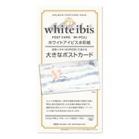 white ibis ホワイトアイビス 水彩紙 コットン・パルプ 300g/m2 大きなポストカード 118×230mm 10枚入 WI-PC(L)