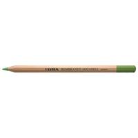Lyra リラ レンブラント アクアレル 水彩色鉛筆 イエロースチールドゥグレーン (12本セット) L2010070