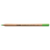 Lyra リラ レンブラント アクアレル 水彩色鉛筆 ライトグリーン (12本セット) L2010071