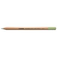 Lyra リラ レンブラント アクアレル 水彩色鉛筆 グリーンアース (12本セット) L2010072