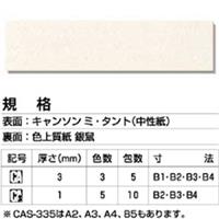 ボード CAS-335 片面 (キャンソン・ミ・タント) A4 (10枚入)