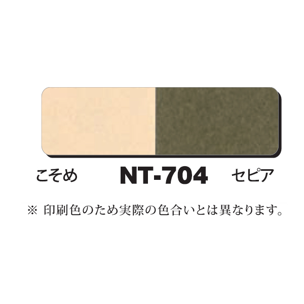 NTラシャボード NT-704 両面2色 B4 (10枚入)