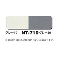 NTラシャボード NT-710 両面2色 A2 (10枚入)