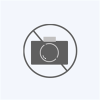 MIYUKI ブランク タグ 楕円 銅 約9.5×6.5mm 【期間限定！春のデリカビーズ大特価セール対象商品】