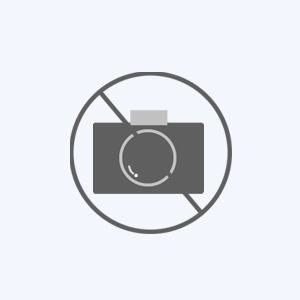 ビーズアート フレーム付き キャンバス ダイヤモンドアート ダイヤモンドフィックス ウィリアム・モリス 名画シリーズ ピンパネール (250×250mm)