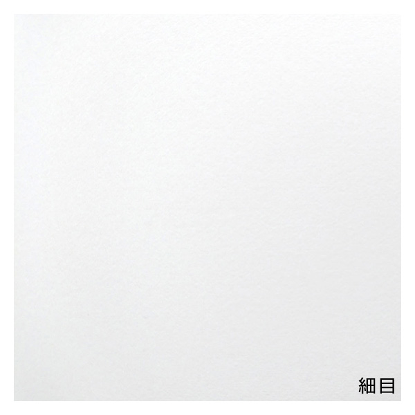 セザンヌ 水彩紙 ブロック 細目 PS (148×100mm)