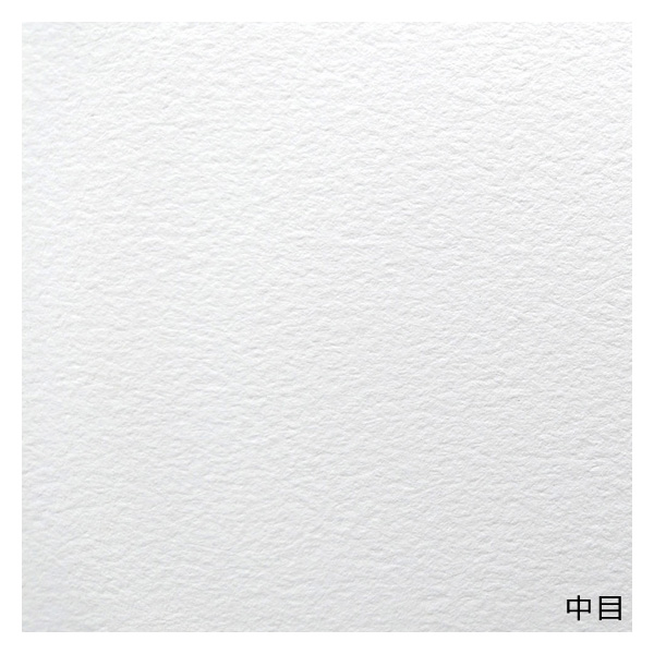 セザンヌ 水彩紙 ブロック 中目 SM (158×227mm)