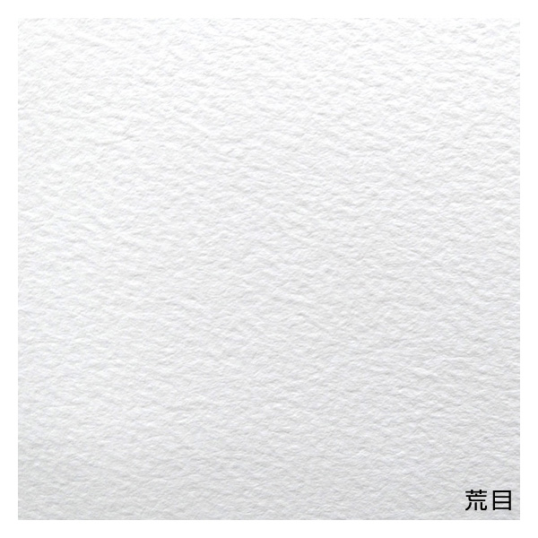 セザンヌ 水彩紙 ブロック 荒目 PS (148×100mm)