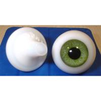 英国の目 12mm 緑 ※人形の目