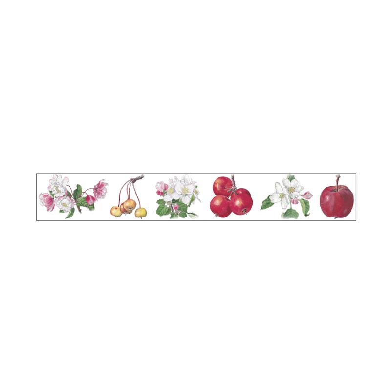 SAIEN 彩宴 マスキングテープ ボタニカルアート リンゴの花と実 25mm×5m巻 GR-0023