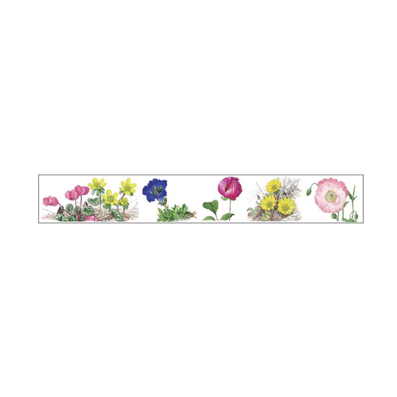 SAIEN 彩宴 マスキングテープ ボタニカルアート 春の花・夏の花 25mm×5m巻 GR-0036