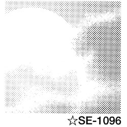 デリータースクリーン SE-1096 (10枚パック)