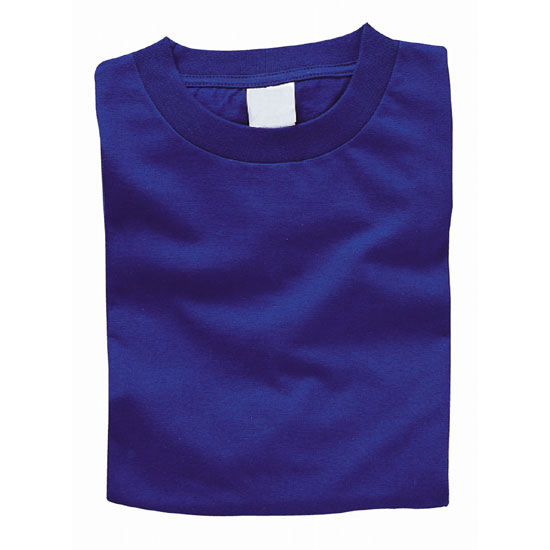 Artec カラーTシャツ L ロイヤルブルー