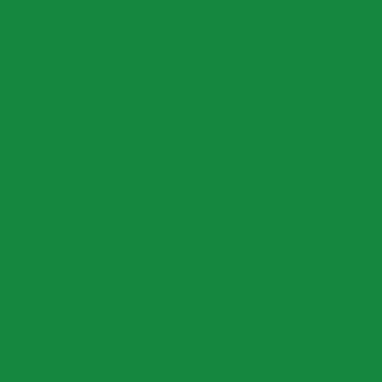 ビニール素材やポリ袋に塗れる ビニールカラー 水性 200ml 緑