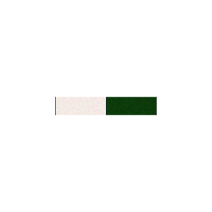 ターナー アクリルガッシュ 20ml ジャパネスクカラー 玉虫色 (黄緑／緑)