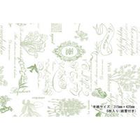TOKYO ANTIQUE グラシン包装紙 半 (ガーデン) 6枚