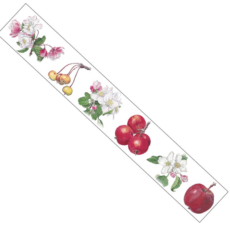 Saien 彩宴 マスキングテープ ボタニカルアート リンゴの花と実 38mm 5m巻 Gr 0024 ゆめ画材