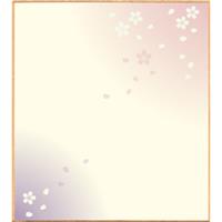 柄入り寸松庵(121×136mm) さくら (3)ピンク・紫 【取扱い中止】