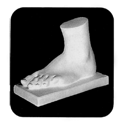 石膏デッサン像 部分 女の足