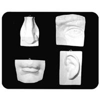 石膏デッサン像 部分 顔の部分セット (4点組)
