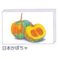 塗り絵 塗り絵物語 身近な野菜たち編 日本かぼちゃ